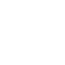 euro